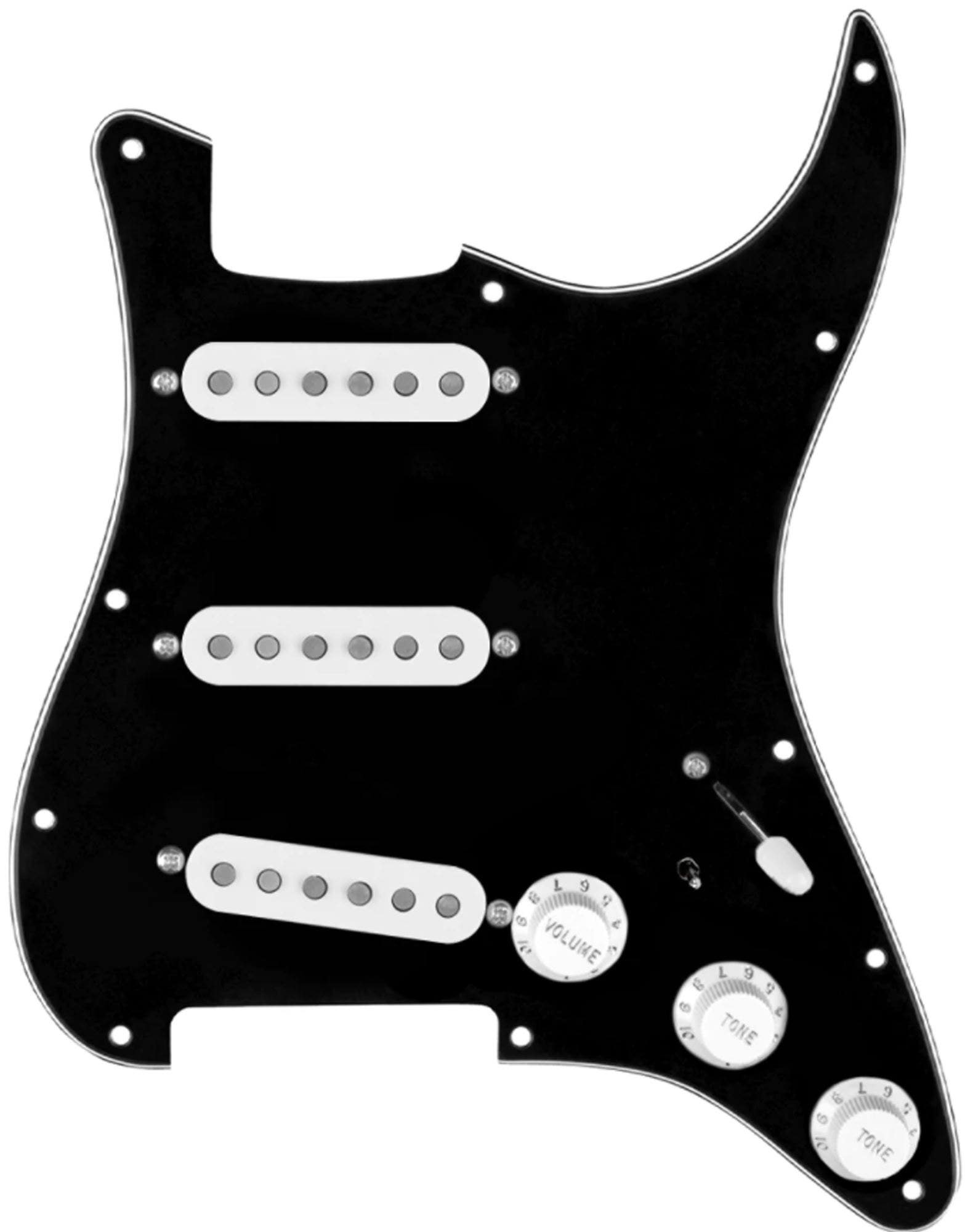 920D Custom DG Stratocaster Loaded Pickguard