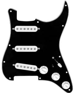 920D Custom DG Stratocaster Loaded Pickguard
