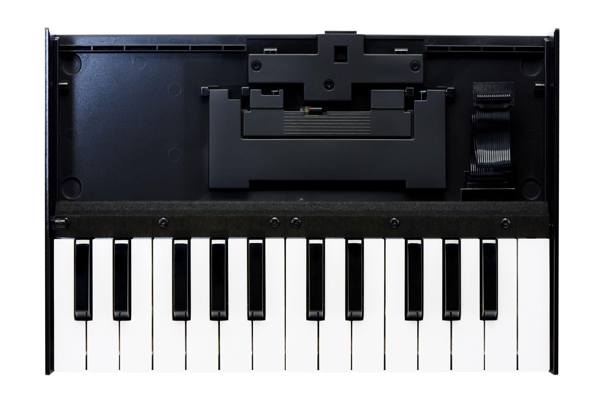 Roland K25M 25 Key Keyboard Unit for Boutique Synth Modules