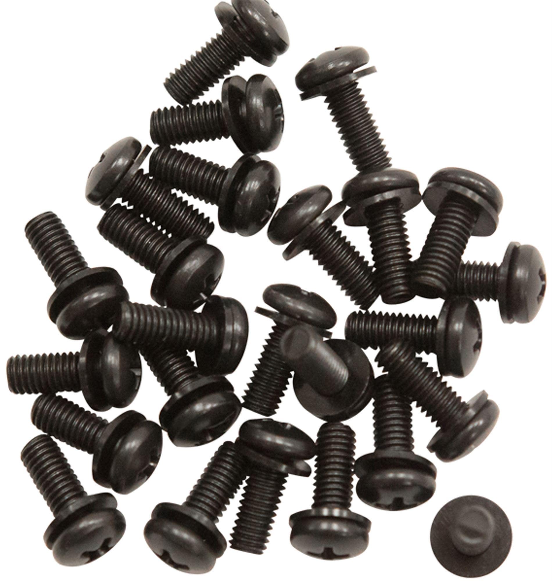 SKB Rack RS25 Screws and Washers 25 Pack
