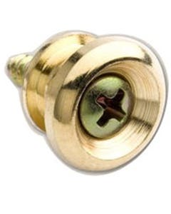 Taylor Strap Button and Screw