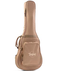Taylor Academy and Big Baby Gig Bag