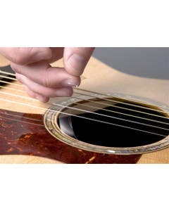 Taylor Pick Guard 5" Static Rosette