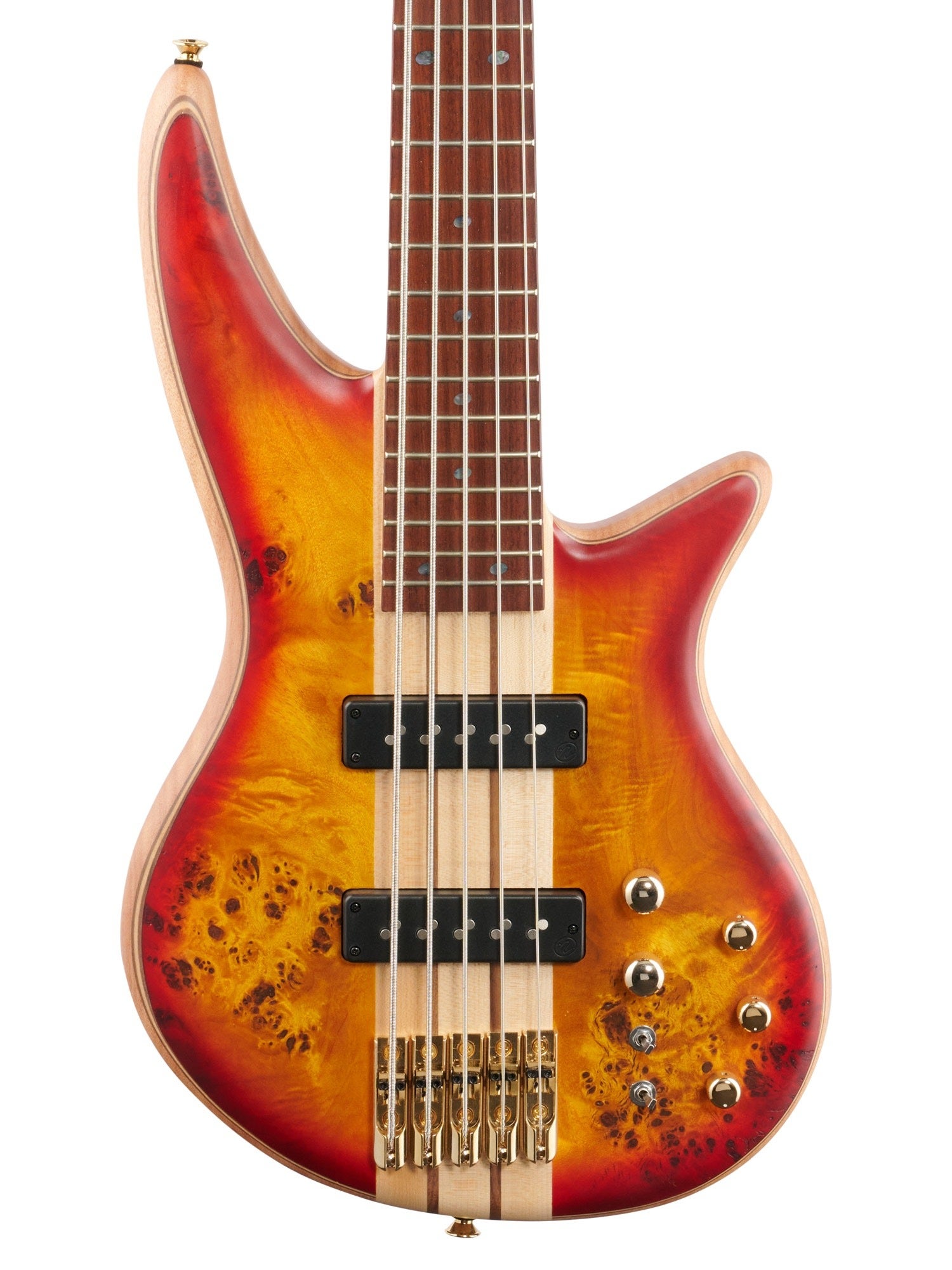 Jackson Pro Spectra Bass SBP V 5-String