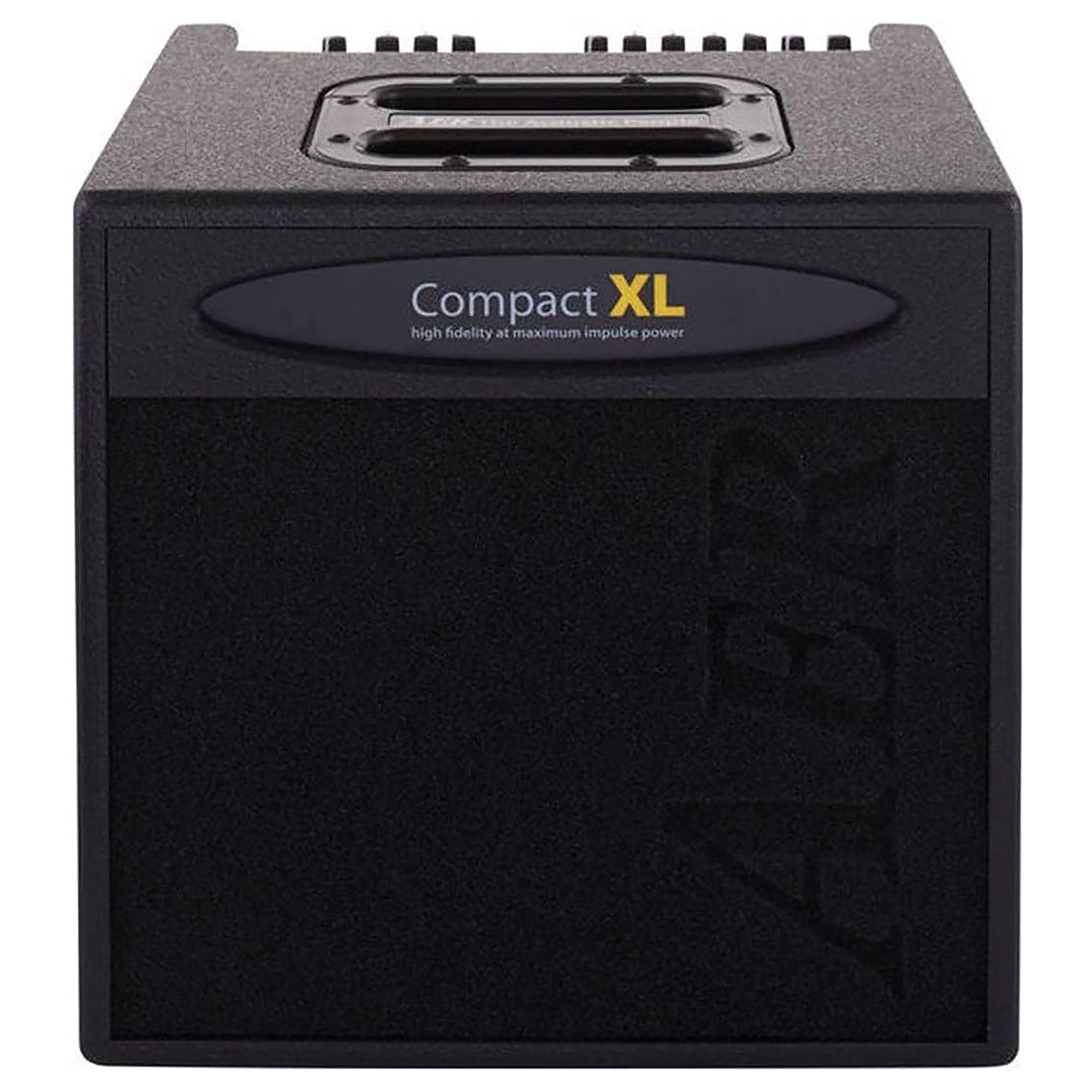AER Compact 80 Pro Acoustic Guitar Combo Amplifier 1x8 Inch 80 Watts