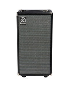 Ampeg SVT210AV Micro Bass Guitar Amplifier Cabinet