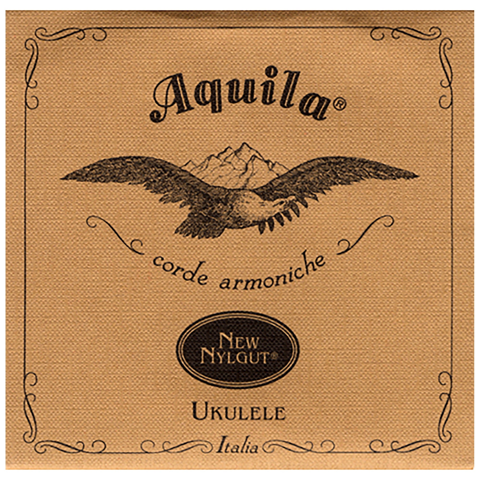 Aquila 21U Baritone Ukulele Wound DG Nylgut BE Strings