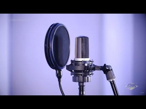 AKG C214 Professional Cardioid Large Diaphragm Condenser