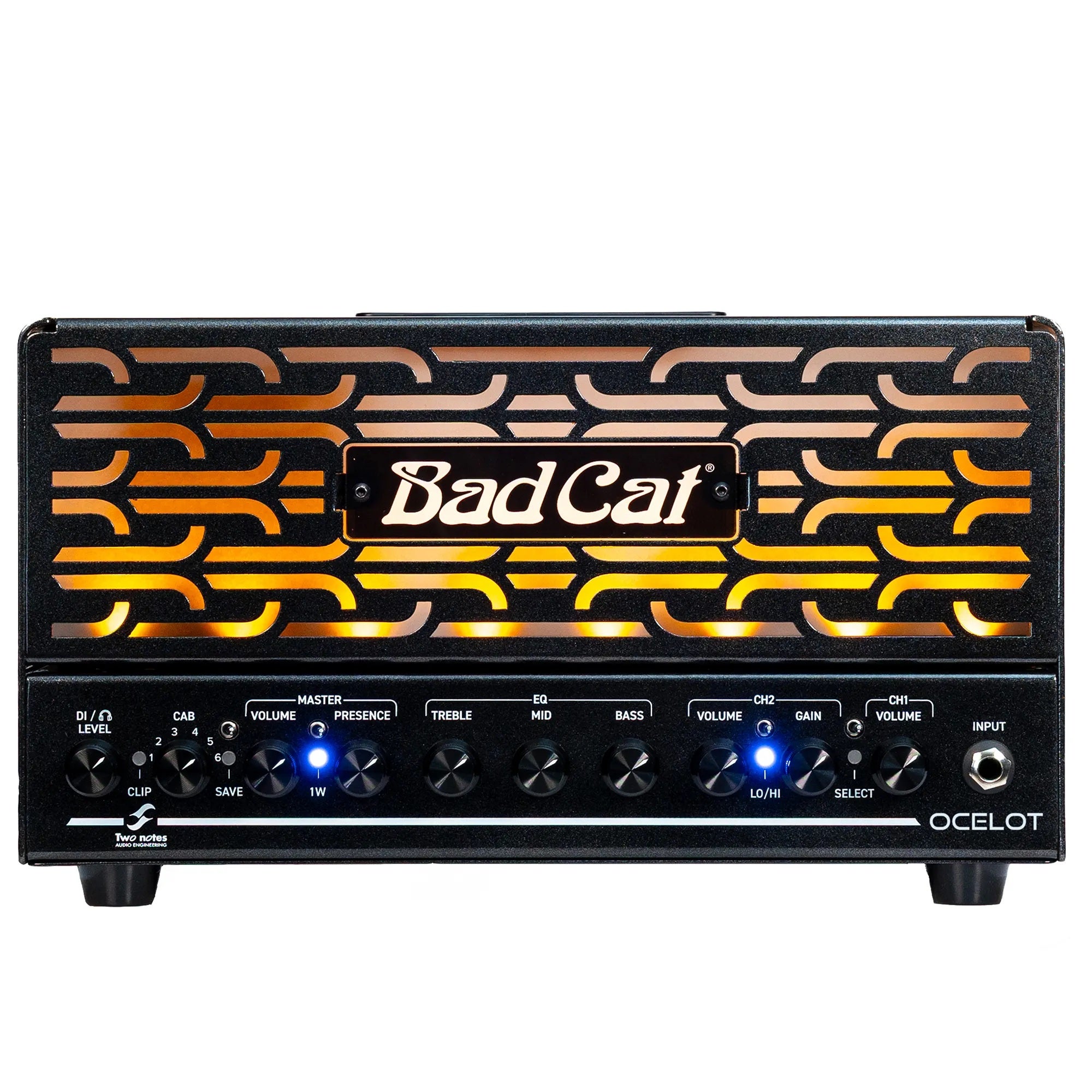 Bad Cat Ocelot Lunchbox Head with Two Notes