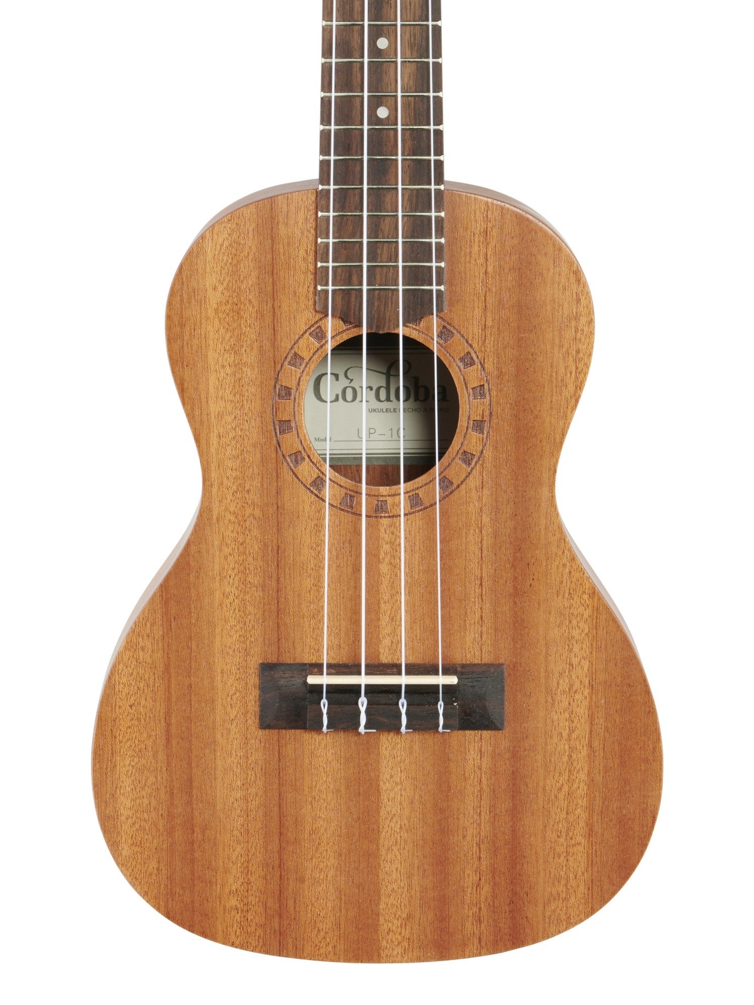 Cordoba Concert Ukulele Player Pack