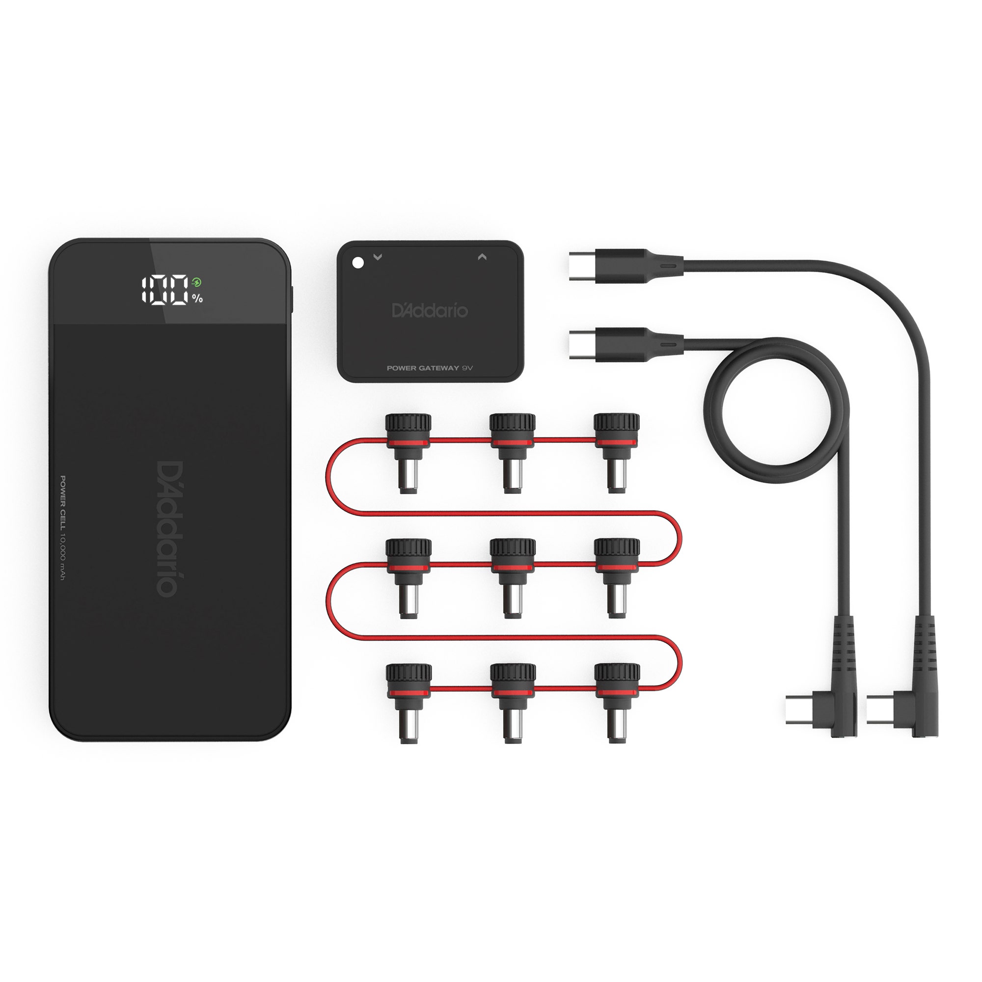 D'Addario PW-XPNDPPBK-01 Battery Kit