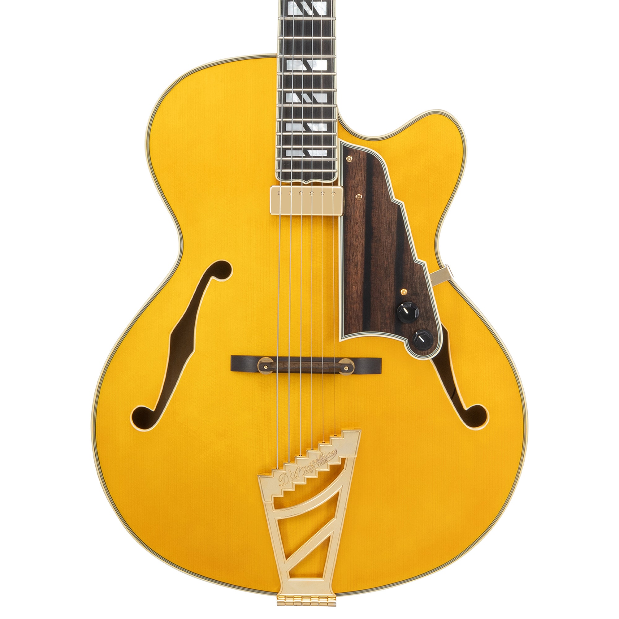 D'Angelico Excel 16 Hollowbody Guitar