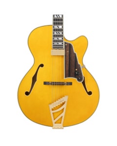 D'Angelico Excel 16 Hollowbody Guitar