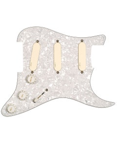 EMG DG20 Inspired by David Gilmour Active Pickup Set with Pickguard