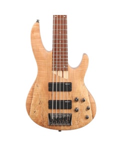 ESP LTD B205SM 5-String Electric Bass Guitar