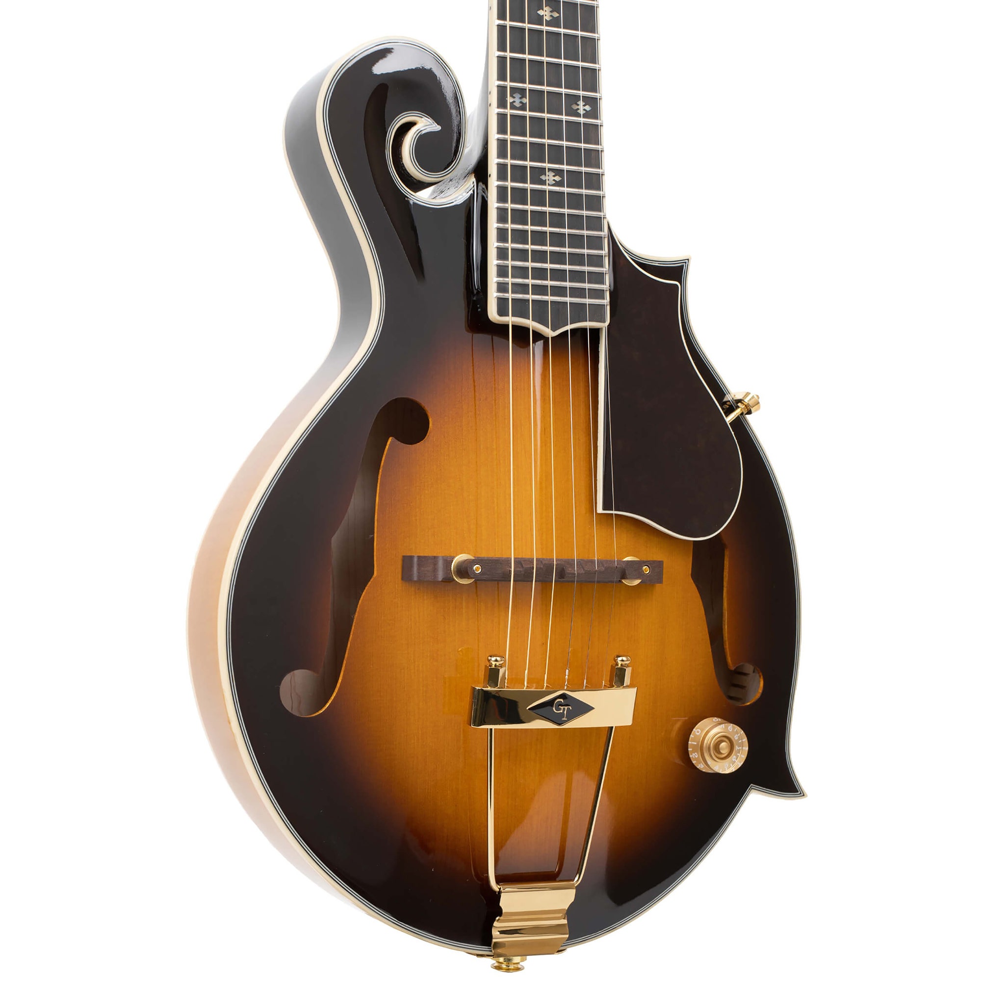 Gold Tone F-6 Plus F-style Mando-Guitar with Pickup