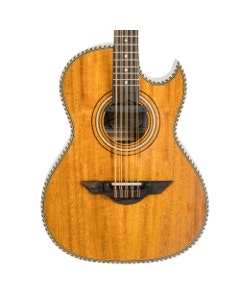 H. Jimenez LBQ1ENM Bajo Quinto with Gig Bag