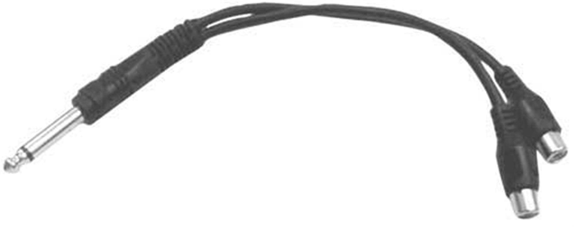 Hosa Y Cable 1/4 Inch TS to Dual RCA Female