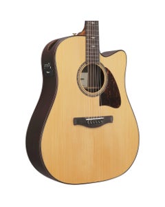 Ibanez Advanced Acoustic AAD381 Guitar