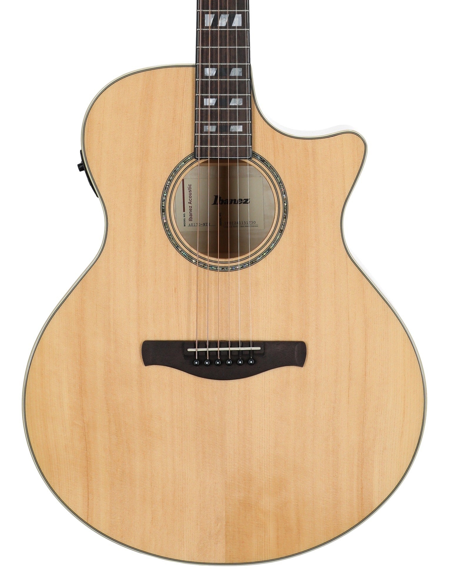 Ibanez AE170 Acoustic Electric Guitar
