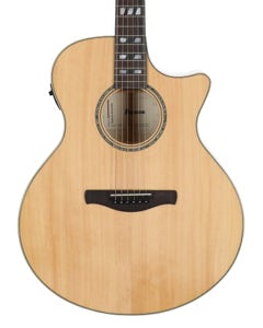 Ibanez AE170 Acoustic Electric Guitar