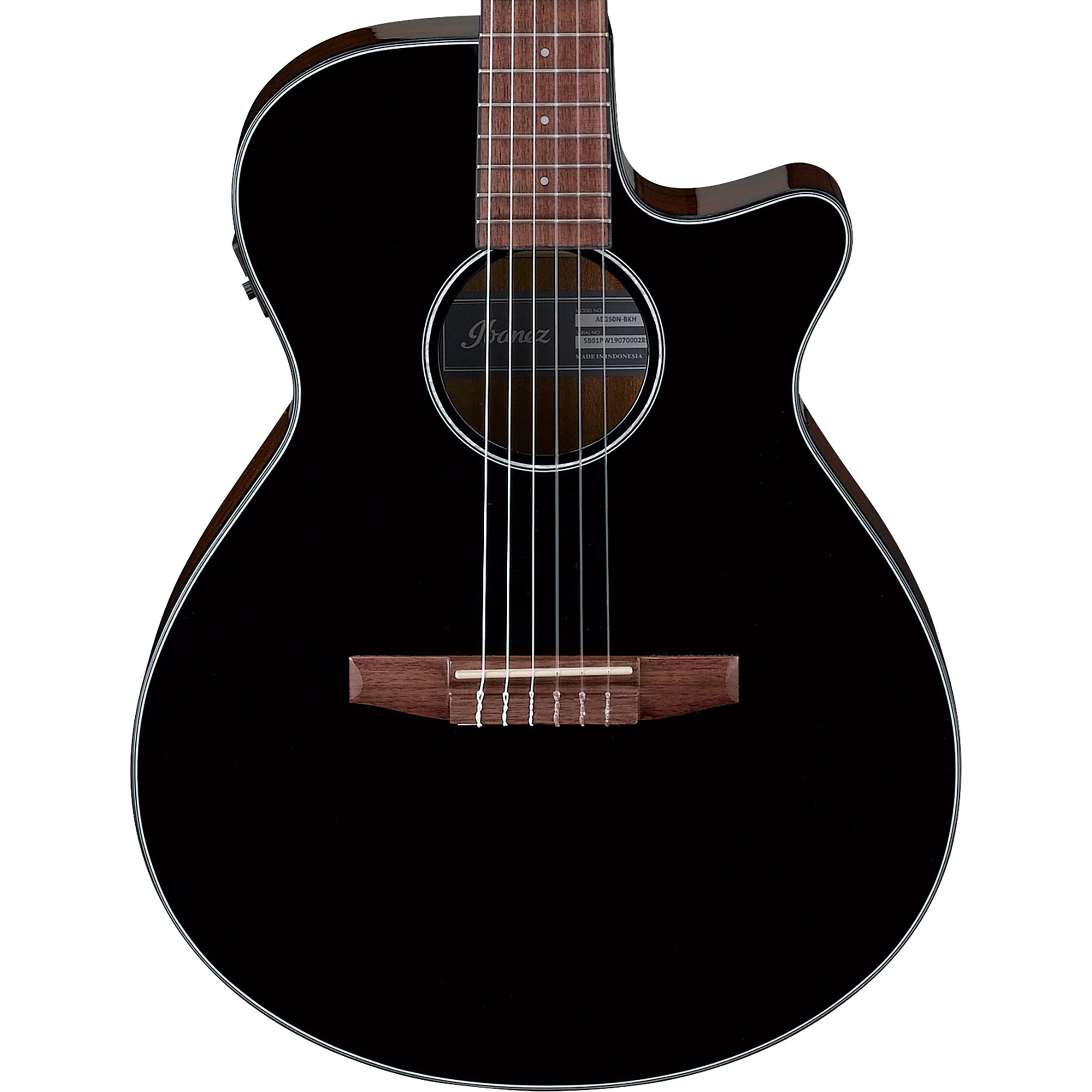 Ibanez AEG50N Acoustic Electric Classical Guitar