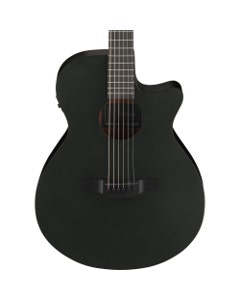 Ibanez AEG621 Acoustic Electric Guitar Black Out
