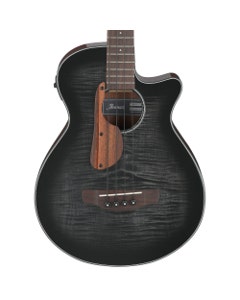 Ibanez AEGB25E Acoustic Bass Guitar