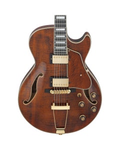 Ibanez Artcore Expressionist AG95MG Hollowbody Electric Guitar