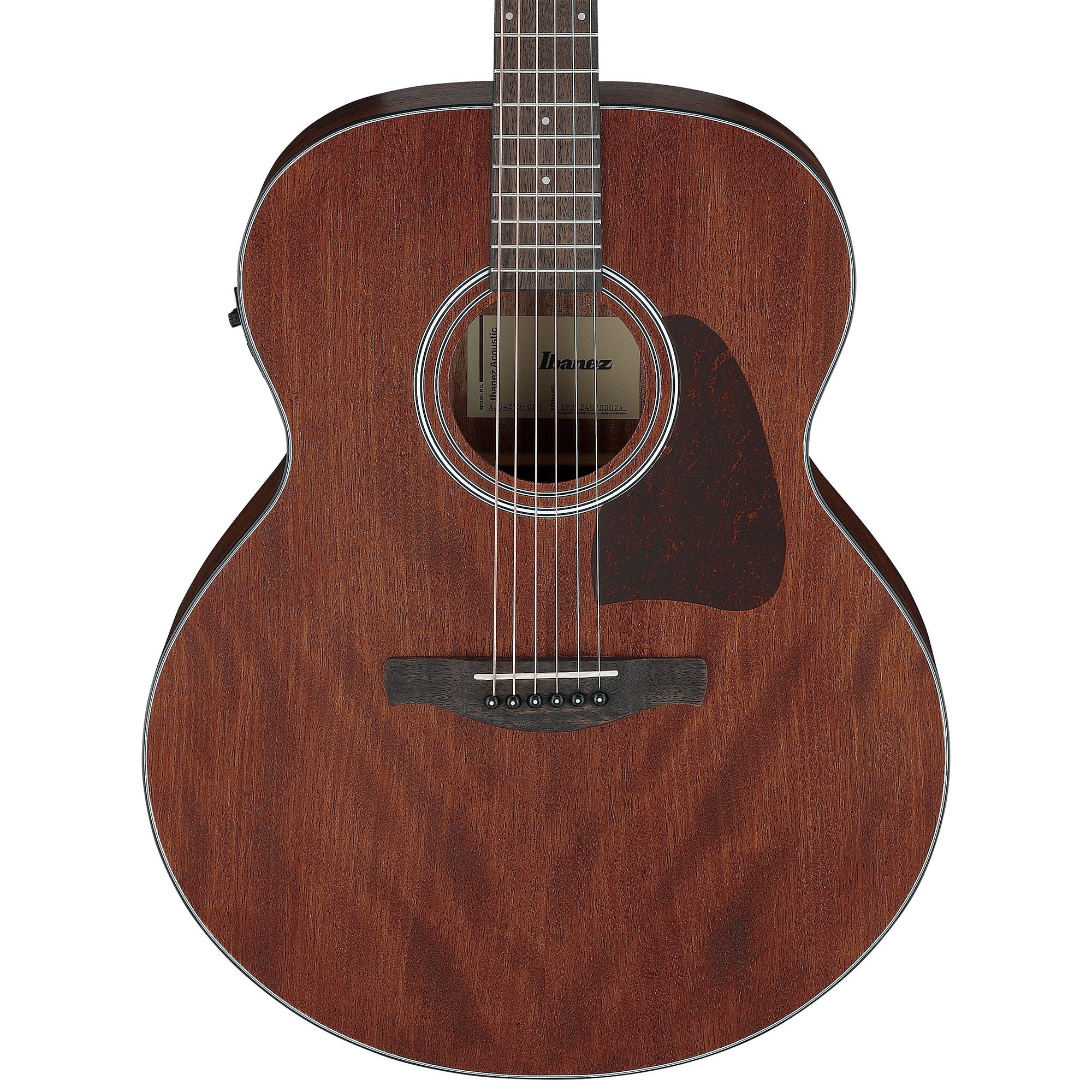 Ibanez Artwood AJ54E Acoustic Electric Guitar