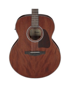 Ibanez Artwood AJ54E Acoustic Electric Guitar