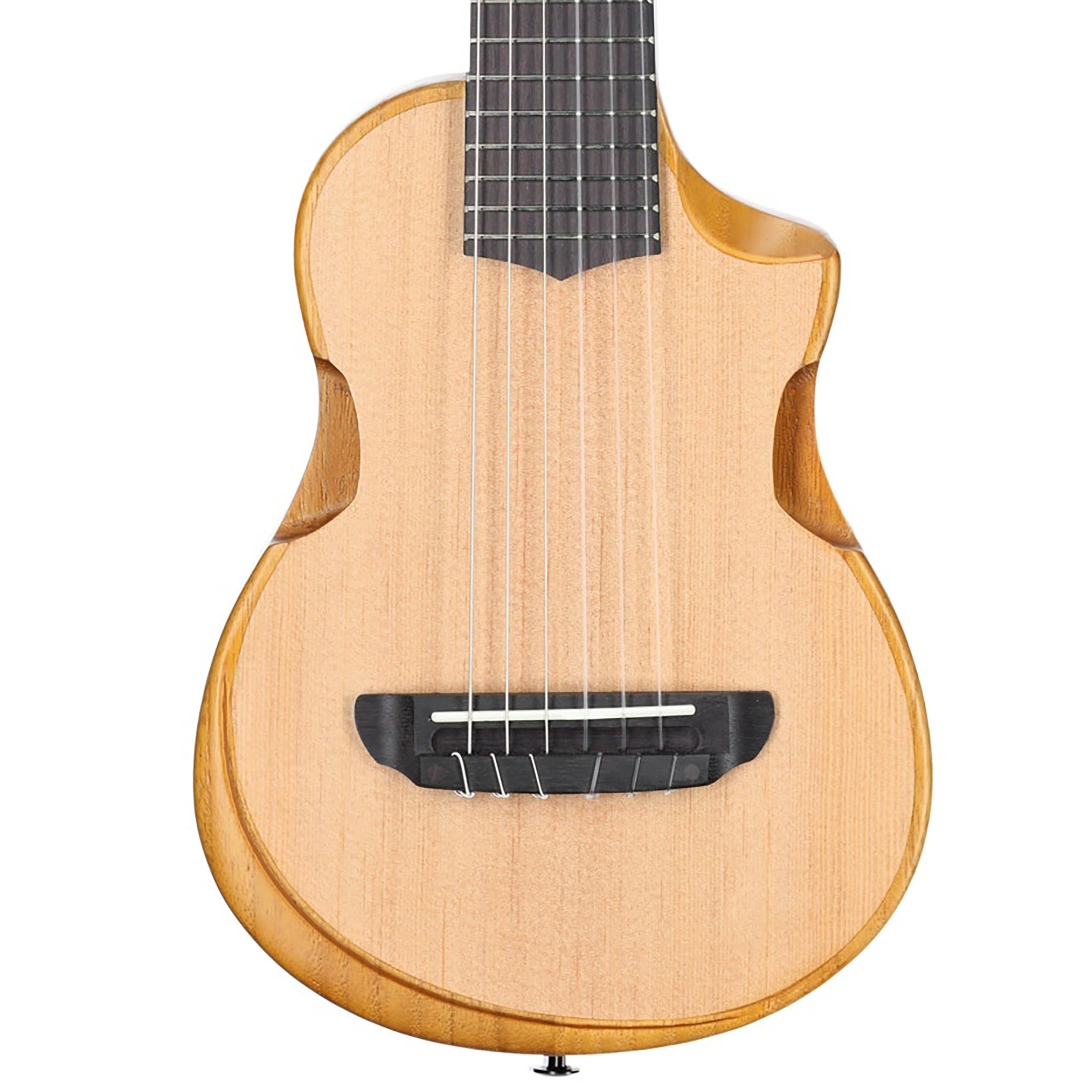 Ibanez AUP10N Tenor Ukulele with Bag