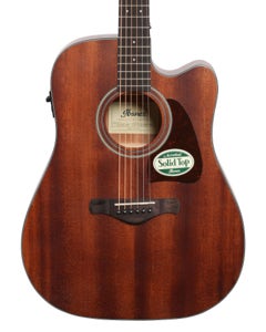Ibanez AW54CE Artwood Acoustic Electric Guitar