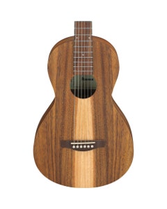 Ibanez PN2WS Acoustic Guitar Open Pore Brown
