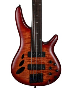 Ibanez Bass Workshop SRD905F Fretless 5-String Bass Guitar