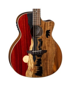 Luna Vista Bear Acoustic Electric Bass Tropical Wood with Case