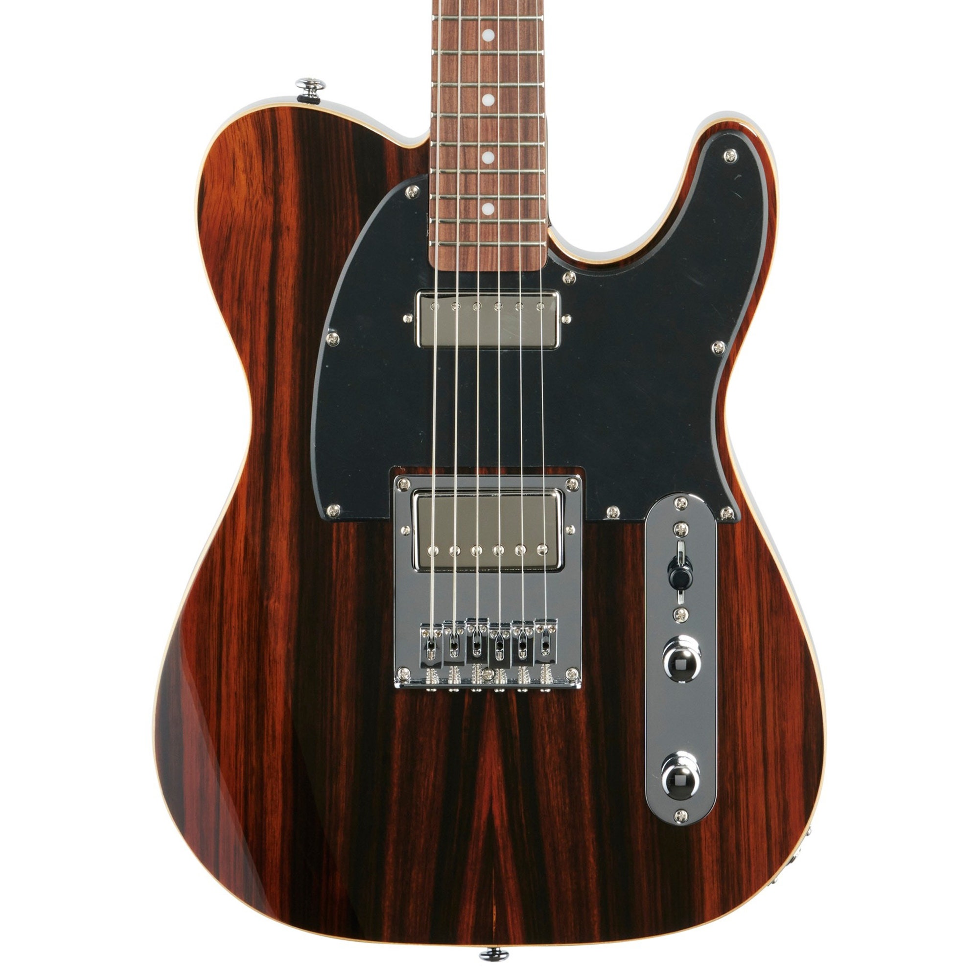 Michael Kelly Mod Shop 55 Fralin Electric Guitar Striped Ebony