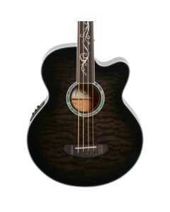 Michael Kelly Dragonfly Fretless 4 Acoustic Electric Bass Guitar