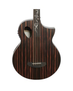 Michael Kelly Dragonfly 4 Port Fretless Acoustic Electric Bass Guitar