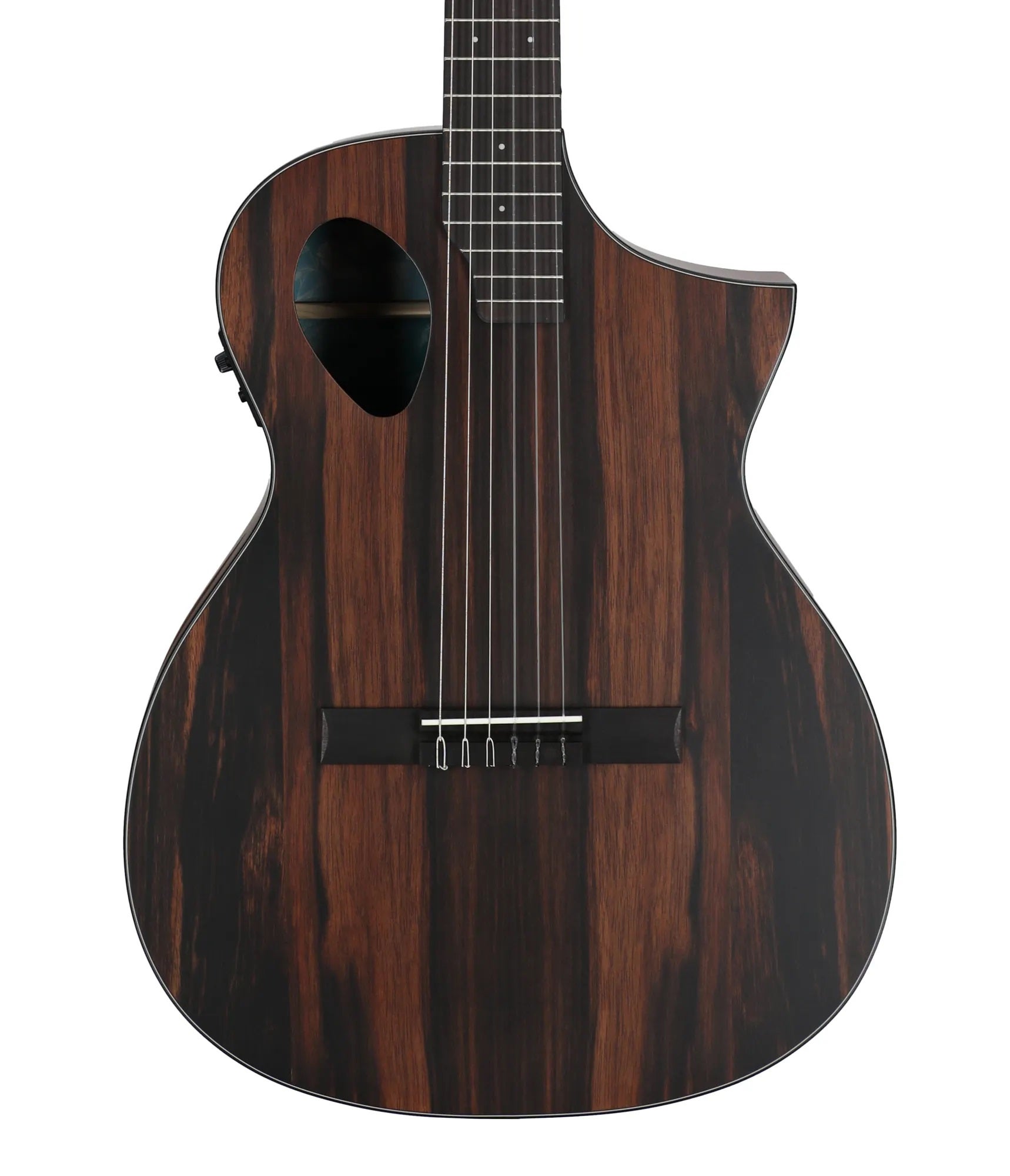 Michael Kelly Forte Port Nylon Acoustic Electric Guitar