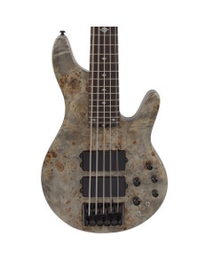 Michael Kelly Pinnacle 5 Bass 5-String Bass Guitar