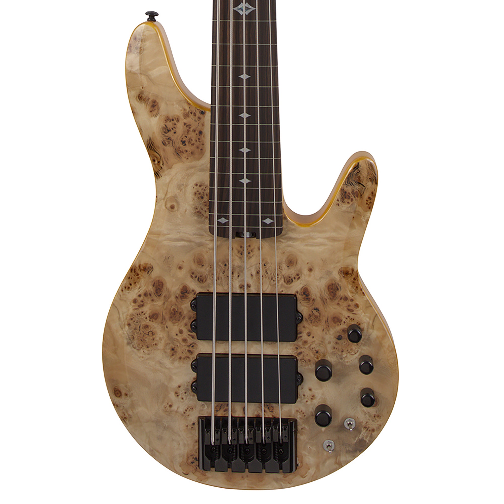 Michael Kelly Pinnacle 5 Bass Fretless Bass Guitar