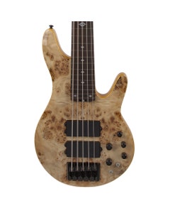 Michael Kelly Pinnacle 5 Bass Fretless Bass Guitar