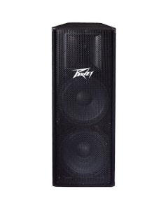 Peavey PV215 PA Speaker