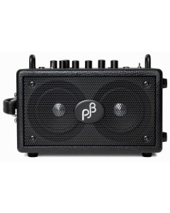 Phil Jones Bass Combo Amp 2x4 Inch 90 Watts
