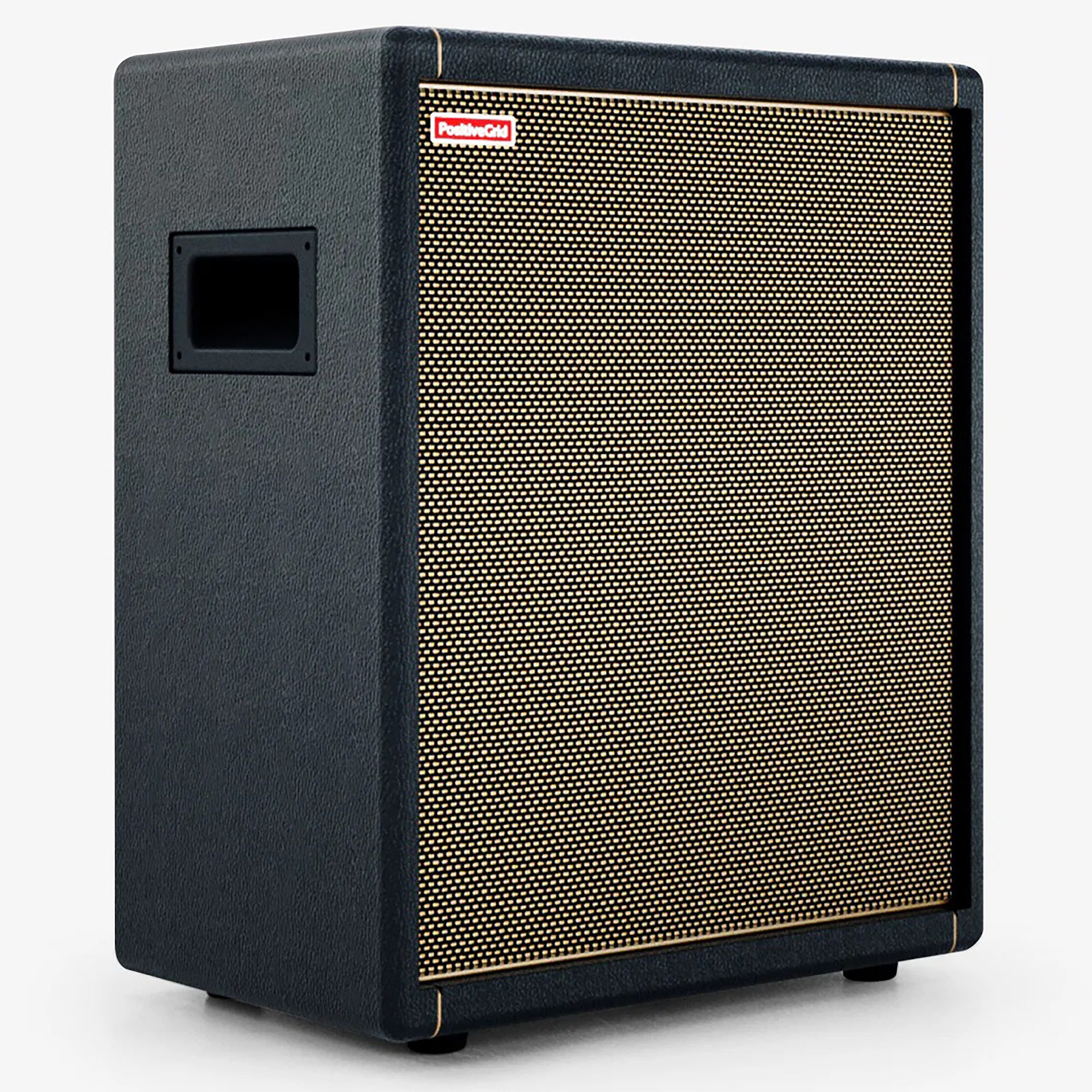 Positive Grid Spark Cabinet Black
