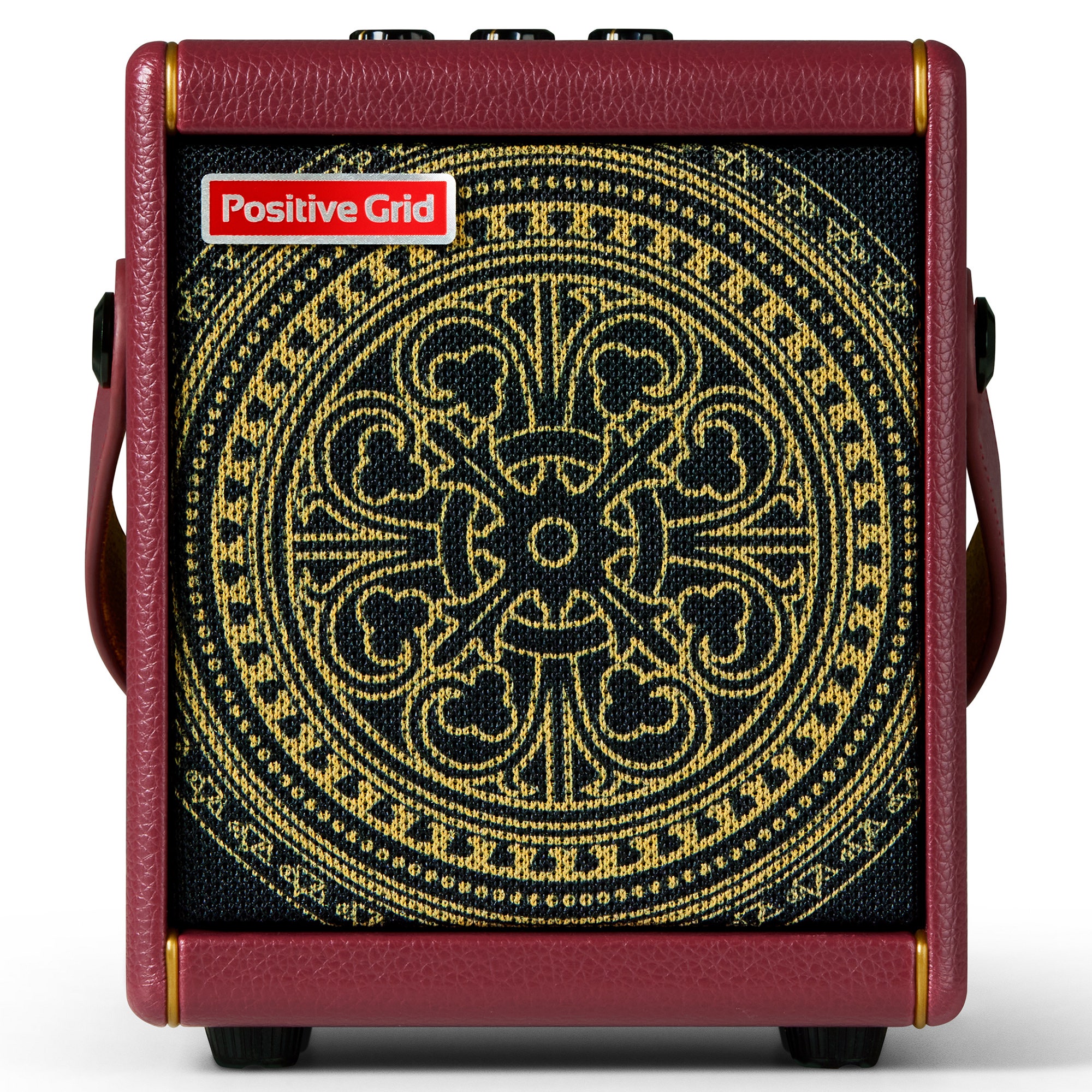 Positive Grid Spark MINI Vai 10 Watt Amp