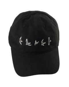 PRS Low Profile Baseball Hat
