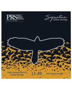 PRS Signature Strings David Grissom .011 - .049