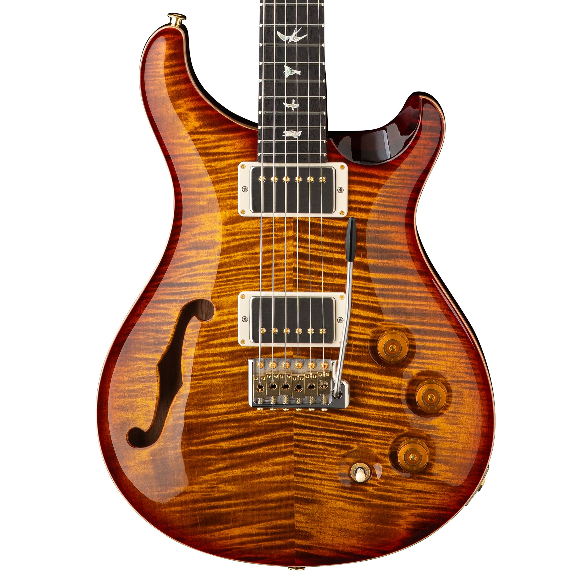 PRS DGT Semi Hollow Body Birds 10 Top Electric Guitar with Case